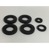 Комплект сальников редуктора (40*70*12 - 4 шт, 20*40*8 - 1 шт, 30*45*8 - 1 шт.) на полуось (R180/R190/R195)