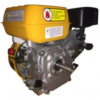 Двигатель Forte F210G