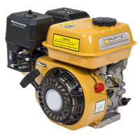 Двигатель Forte F210G