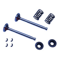 Клапан впускной, выпускной в сборе комплект 10 шт (R170F)