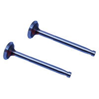 Клапан впускной, выпускной комплект 2 шт (R170F) Клапан впускной, выпускной комплект 2 шт (R170F)