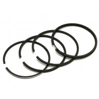 Кольца 80,25 мм (R180)