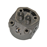 Головка цилиндра в сборе (R190)