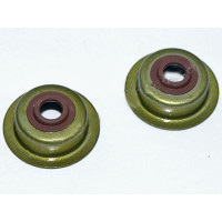 Сальник клапанов (2 шт) (168F/170F)