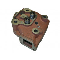 Головка цилиндра в сборе 1GZ90 (R195)